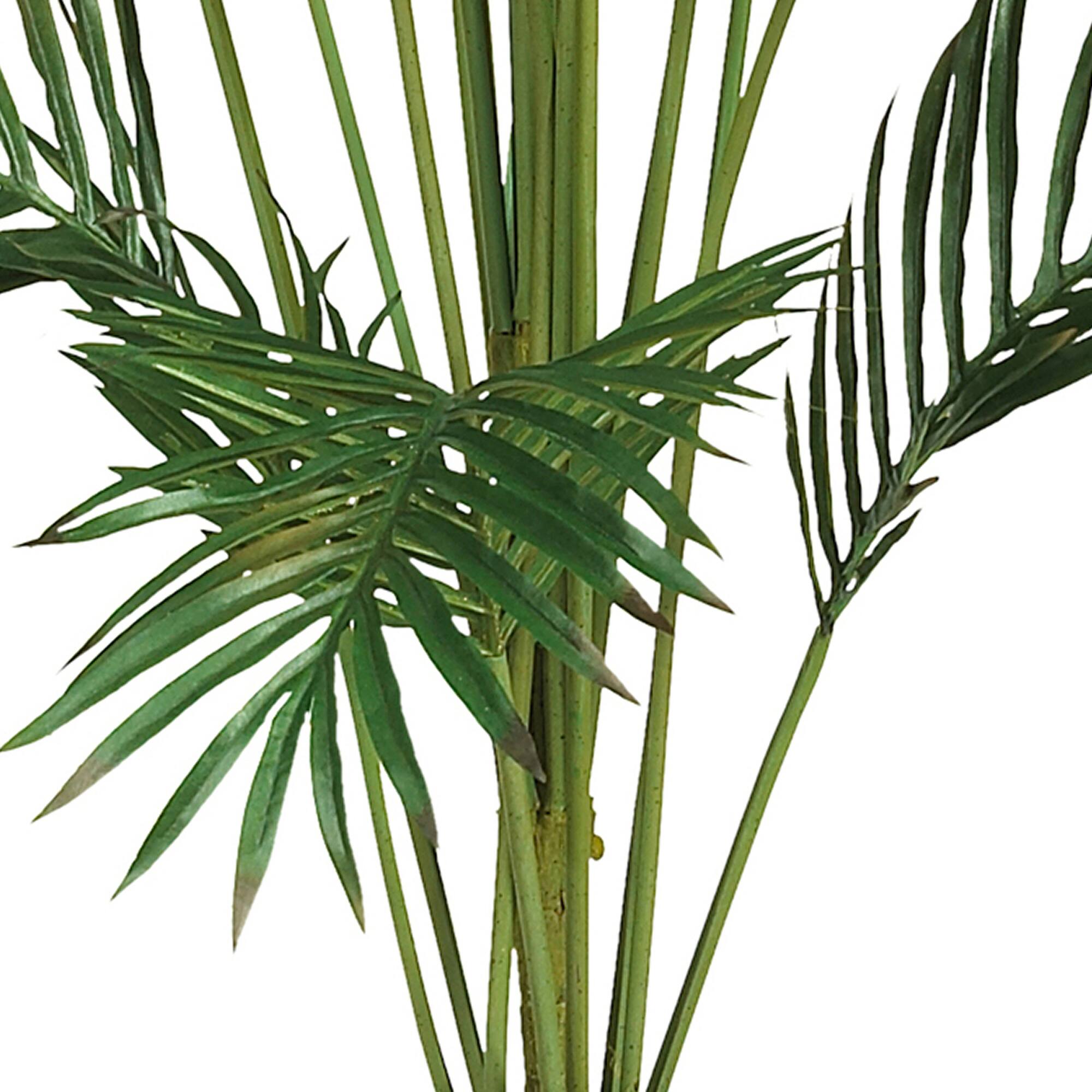 7ft. Potted Paradise Palm